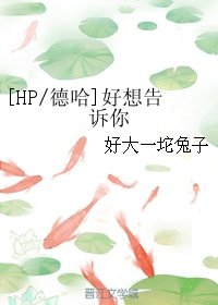 (BL/HP/德哈同人)好想告訴你