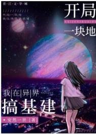 開局一塊地:我在異界搞基建